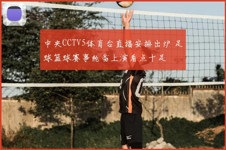 中央CCTV5体育台直播安排出炉 足球篮球赛事轮番上演看点十足