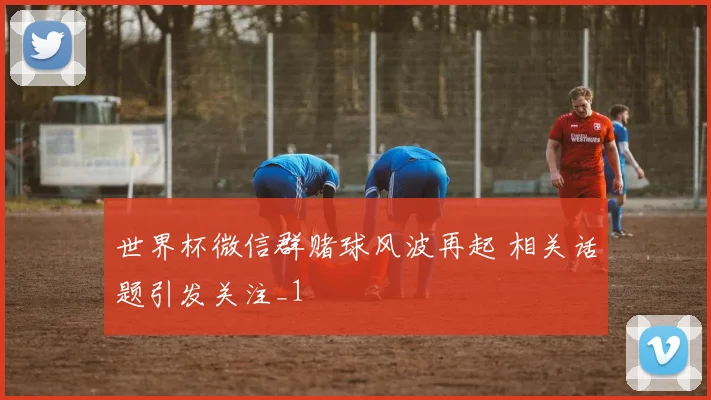 世界杯微信群赌球风波再起 相关话题引发关注_1