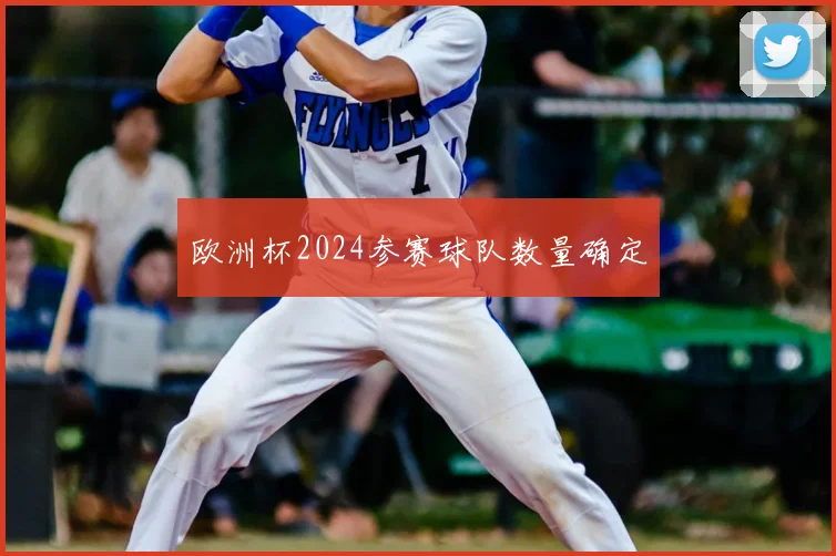 欧洲杯2024参赛球队数量确定