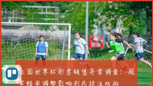 法国世界杯彩票销售异常调查:冠军赔率调整影响彩民投注结构