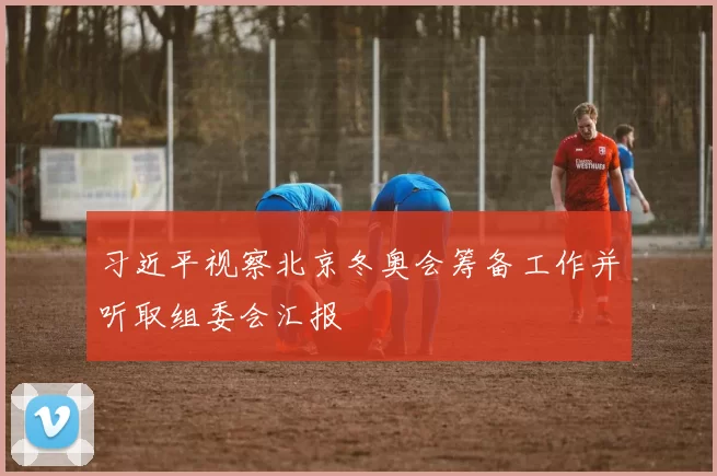 习近平视察北京冬奥会筹备工作并听取组委会汇报